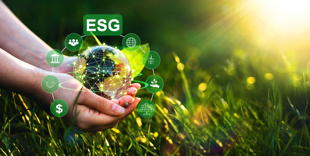 Critères ESG : définitions et enjeux de durabilité