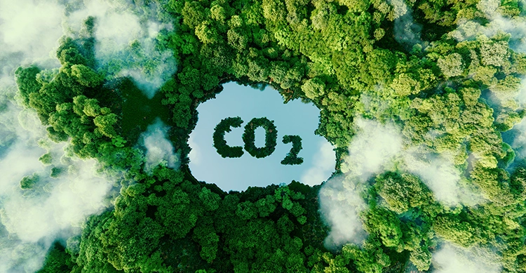Comprendre les Scope 1 2 3 d'un bilan carbone pour mesurer les émissions de GES